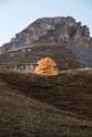Larch on the way of "Bisse du Tsittoret"