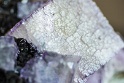 Fluorine (2)