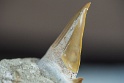 Stones_05